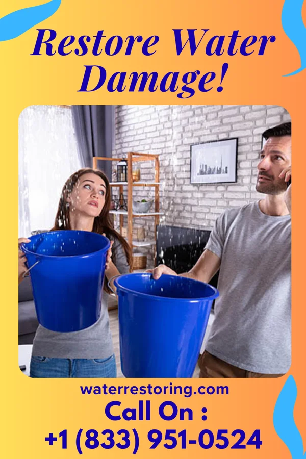 water restoration Best Flood Damage Force Kenilworth