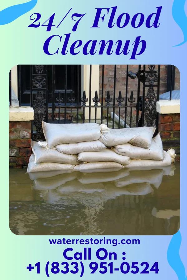 24/7 Flood Cleanup in Kenilworth, NJ