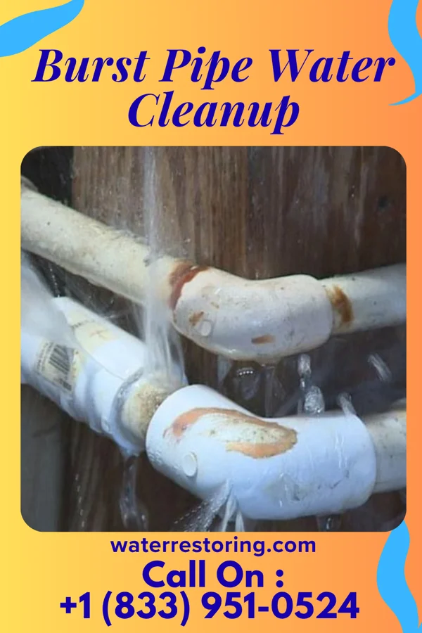 Burst Pipe Water Cleanup in Kenilworth, NJ