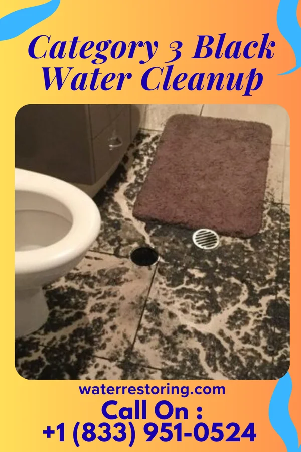 Category 3 Black Water Cleanup in Kenilworth, NJ