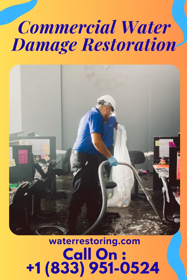 Commercial Water Damage Restoration in Kenilworth, NJ