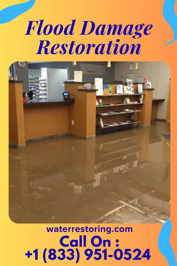 Flood Damage Restoration in Kenilworth, NJ