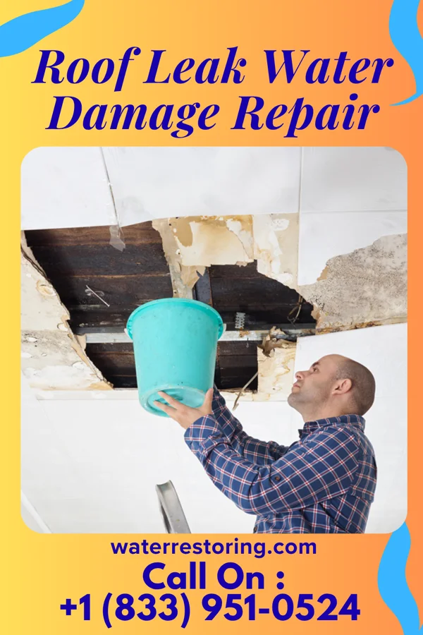 Roof Leak Water Damage Repair in Kenilworth, NJ