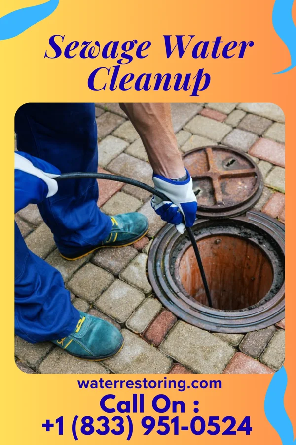 Sewage Water Cleanup in Kenilworth, NJ
