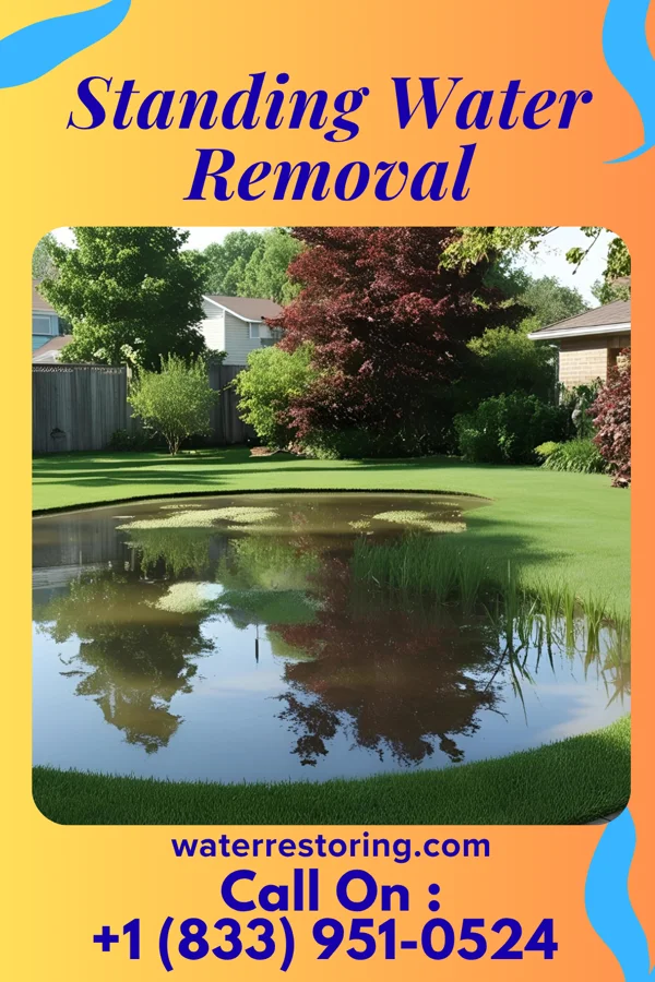 Standing Water Removal in Kenilworth, NJ